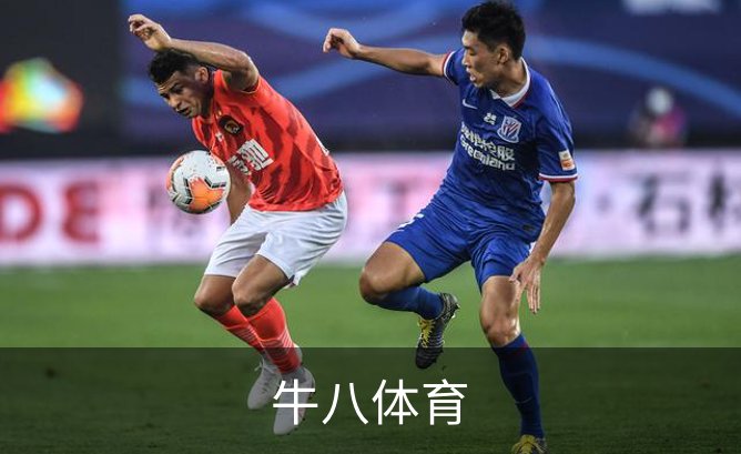 牛八体育概况